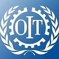ORGANIZACIÓN INTERNACIONAL DEL TRABAJO