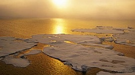 Timeline: Calentamiento Global