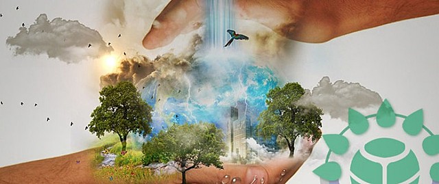 Sostenible ambiental del capital natural