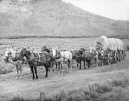 Organ trail Wagon train