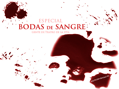 Bodas de Sangre - Características Principales