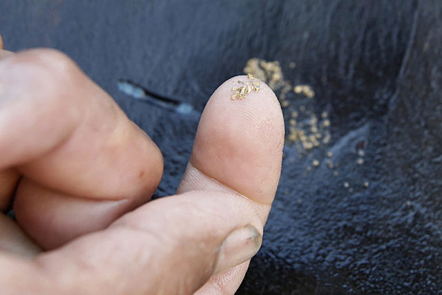 Es suficiente con prohibir el mercurio?