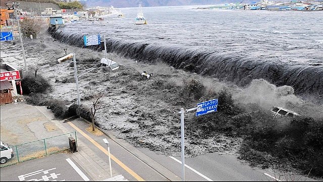 Japanese Tohoku earthwuake and Tsunami