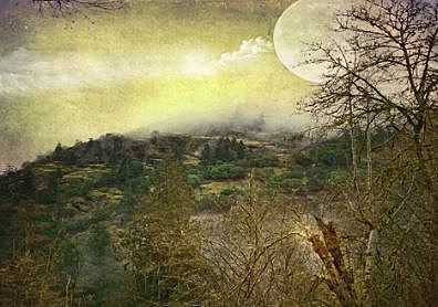 Restoration literature