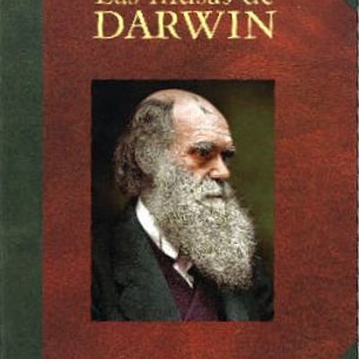 Timeline: libro: las musas de darwin