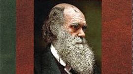 Timeline: libro: las musas de darwin