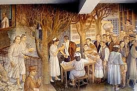 Reglamentación en la época del Protomedicato