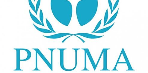 PNUMA