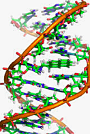 Primeras Manipulaciones con el ADN