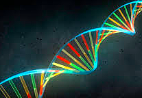 ADN conductor de la electricidad.