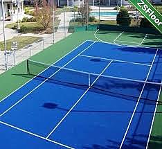 The Tennis Court Oath