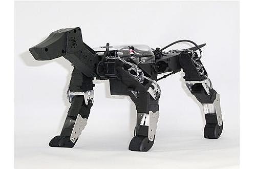 mascota robot