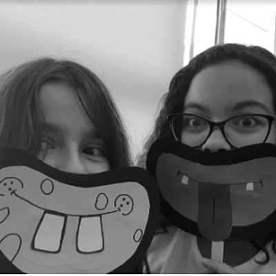 Timeline: Ana Laura & Luísa