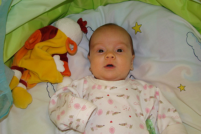 JAIO  NINTZENEAN ...