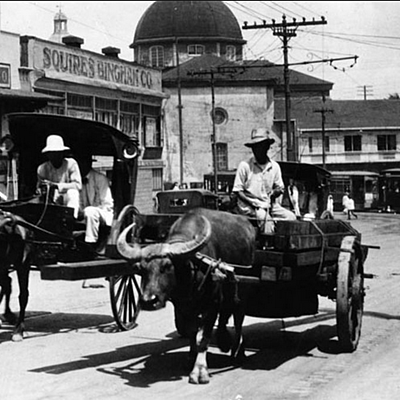 Timeline: Transpotation evolution