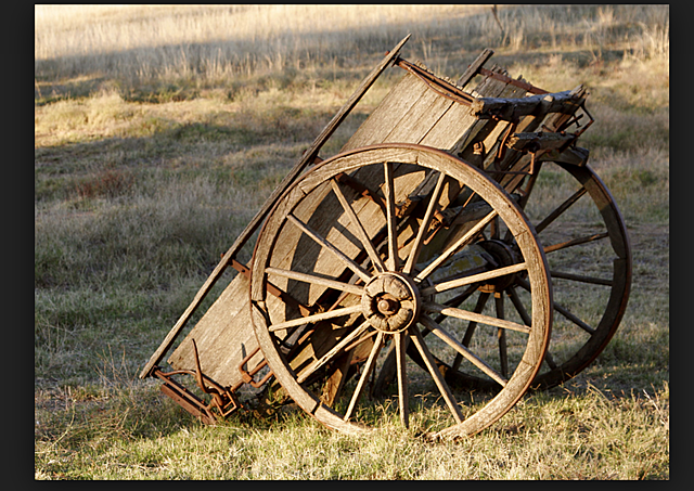 First wheeled Vehicles