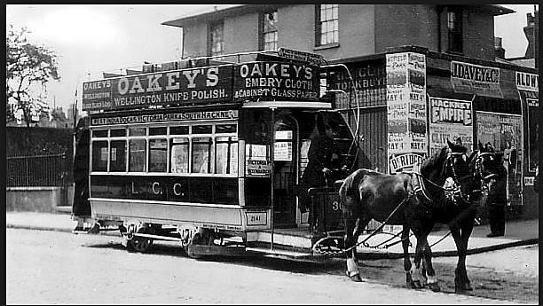 Public Transportation