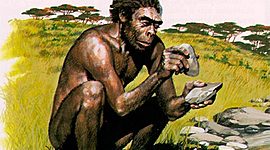 Timeline: history of the clothe