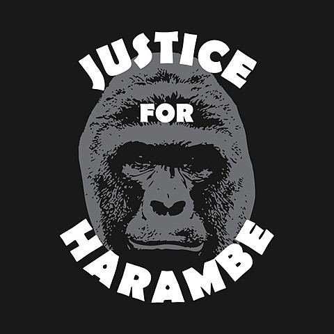 The Kiling of Harambe