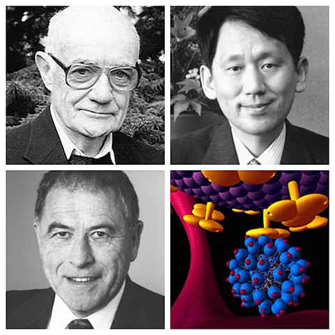 John B. Fenn, Koichi Tanaka, Kurt Wüthrich.