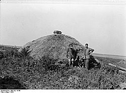 Las fuerzas alemanas se dirigen al Volga