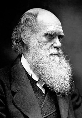 Charles Darwin Feb 12th, 1809/ April 19th, 1882