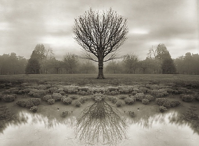 Grupo Photo-Secession