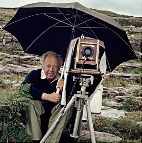 Nace, Willard Van Dyke