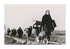 Ley de responsabilidades políticas