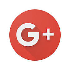 Google+ servive