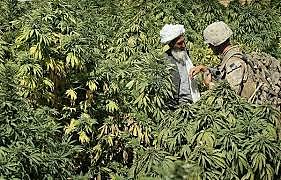 ORIENTE MEDIO (1400 a.C)