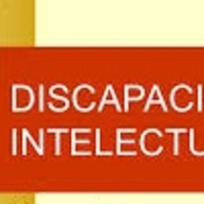 Timeline: Evolución Discapacidad Intelectual