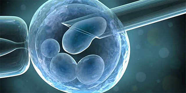 Reprogramación celular