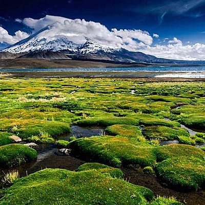 Timeline: Con el agua, estudiemos los tres estados de la materia.