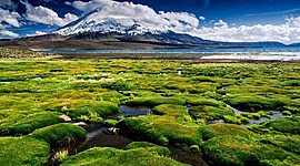 Timeline: Con el agua, estudiemos los tres estados de la materia.