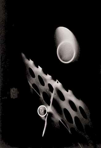   Moholy-Nagy, redescubrió el fotograma