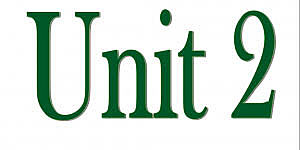 Unit 2, Celebrations