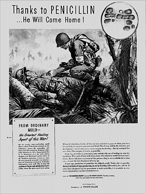 Se empezó a usar la penicilina