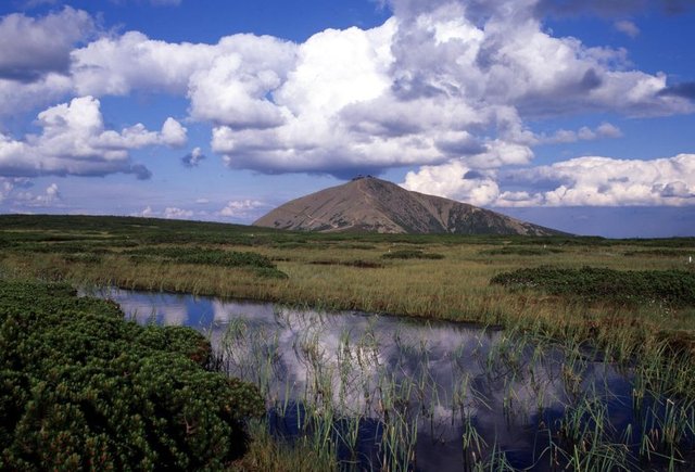 Non-aggression pact; Germany and Russia; divide Poland