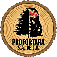 La empresa paraestatal Productos Forestales de la Tarahumara (PROFORTARAH)