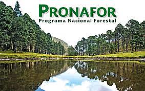 EL PROGRAMA NACIONAL FORESTAL 2013-2018 (PRONAFOR)