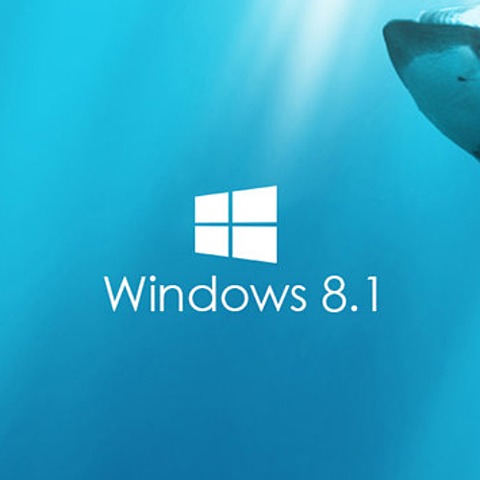 Windows 8.1