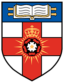 PhD in Physics with a thesis in Electromagnetic Theory