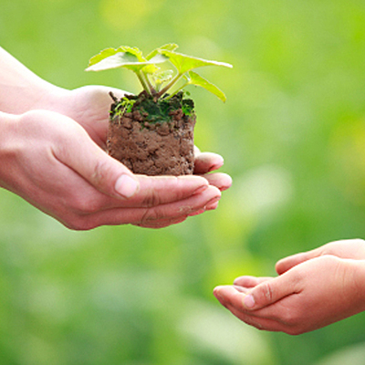 Timeline: linea del tiempo Sustentabiladad en el Turismo....Erandi Joseline 2 c