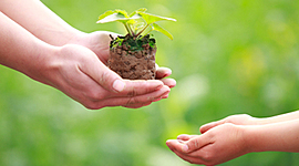 Timeline: linea del tiempo Sustentabiladad en el Turismo....Erandi Joseline 2 c