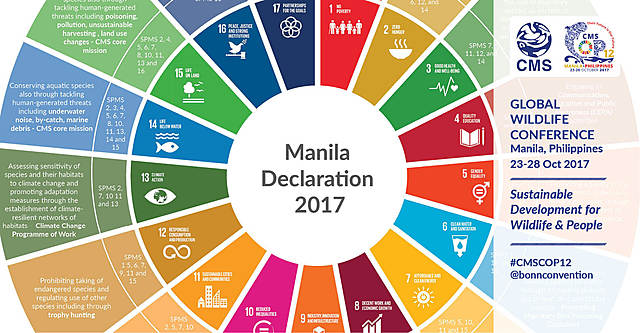 Declaracion de Manila