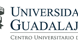 Timeline: IMPACTO Y TRASCENDENCIA