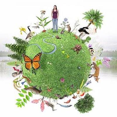 Timeline: CLASIFICACIÓN DE  LOS ORGANISMOS VIVOS