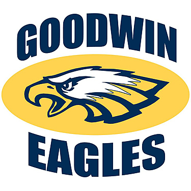 I started elementary school