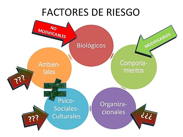 AAMR, causas multifactoriales y factores de riesgo